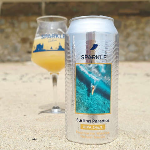 Surfing Paradise