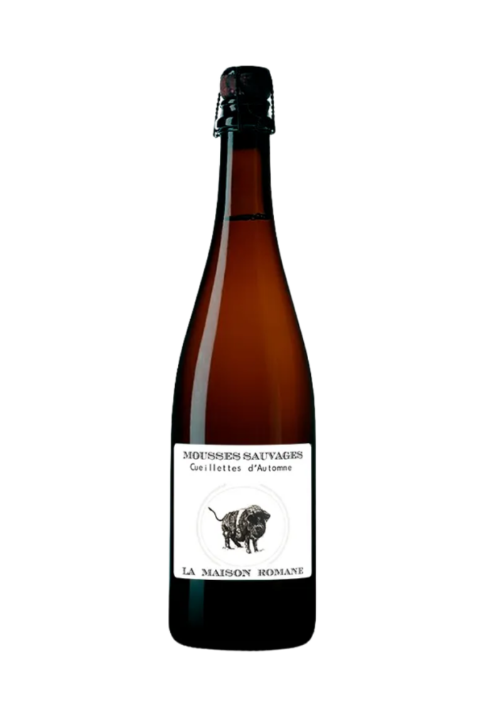 Mousses Sauvages Cueillettes d'Automne 2022