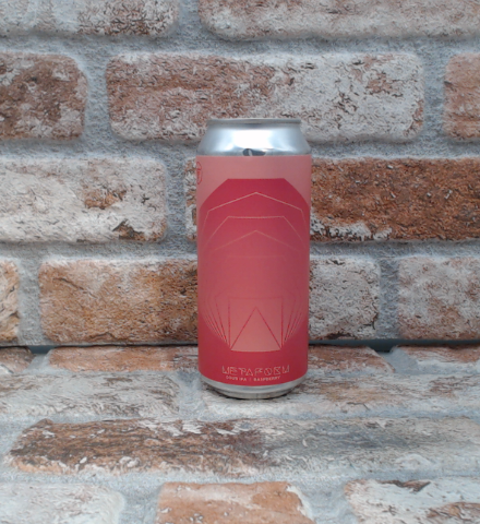 Homes Metaform Sour IPA Raspberry - 1 pint