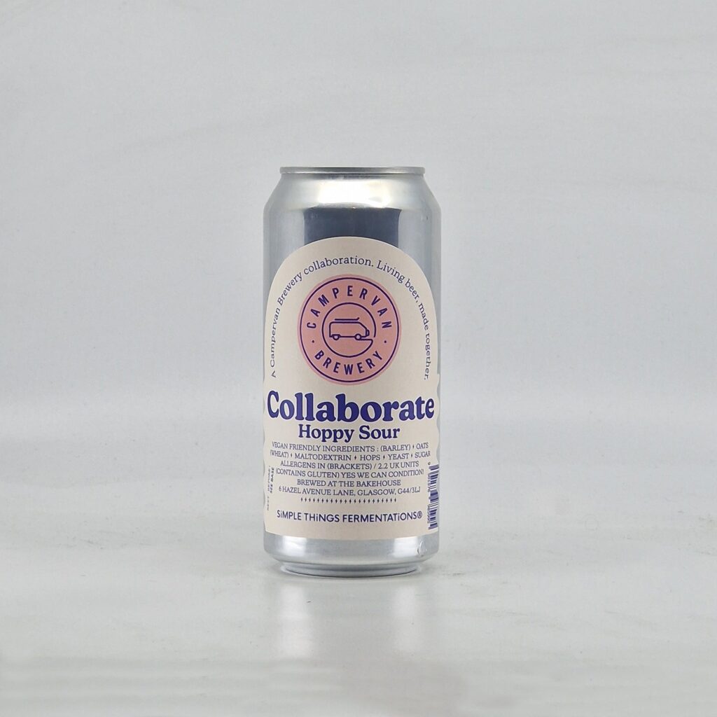 x Campervan Hoppy