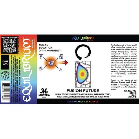 Equilibrium Fusion Future