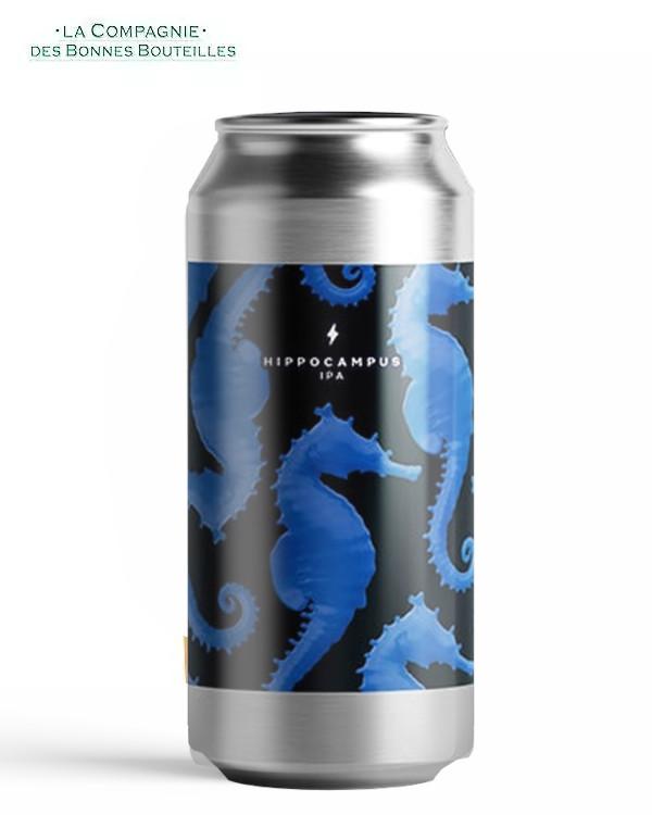 Bière Brasserie Garage- Hippocampus - Hazy NEIPA