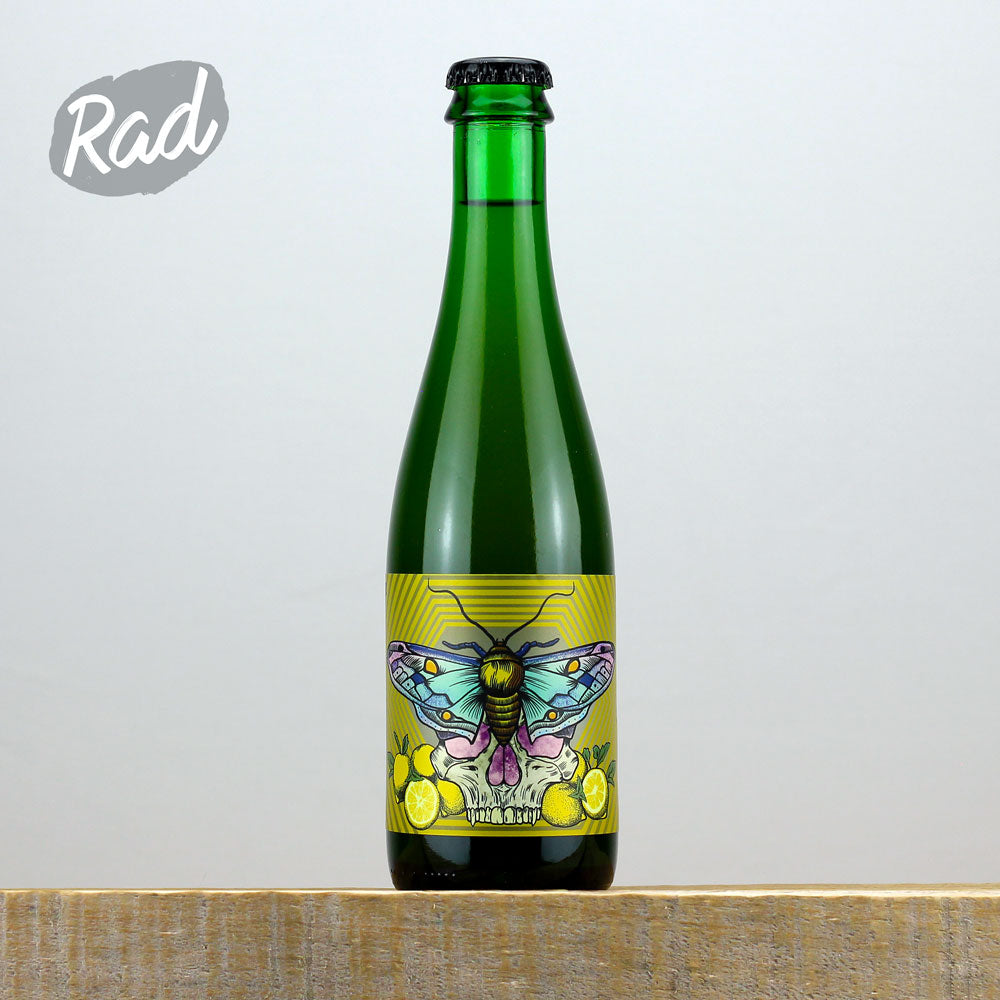 x Newbarns Limonata