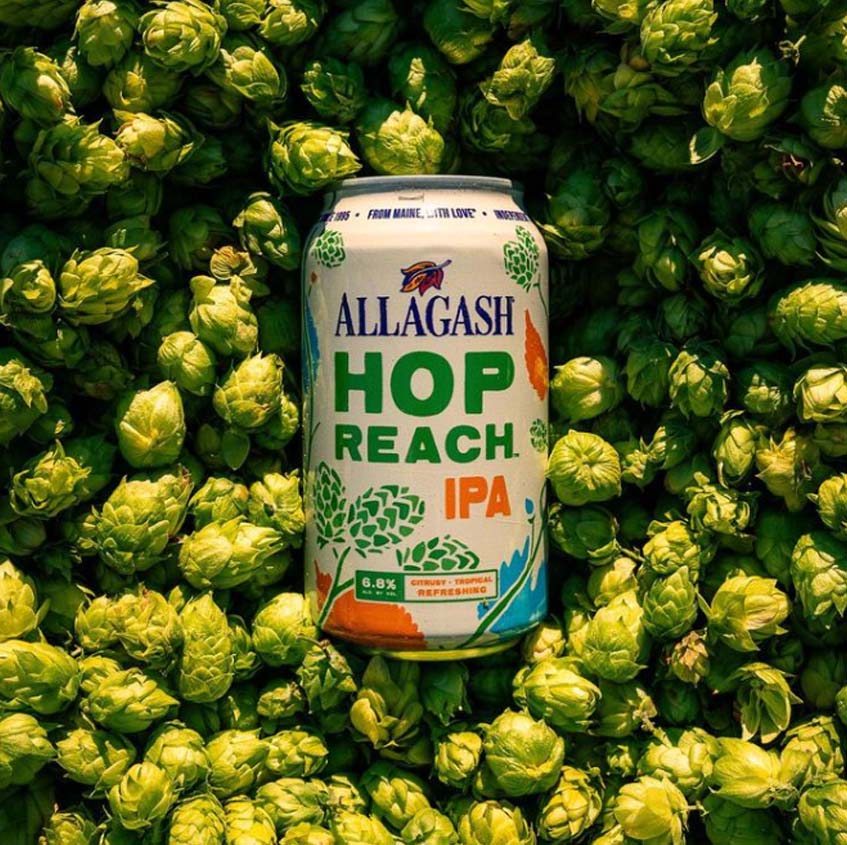 Allagash Brewing Company Hop Reach IPA / ホップリーチ