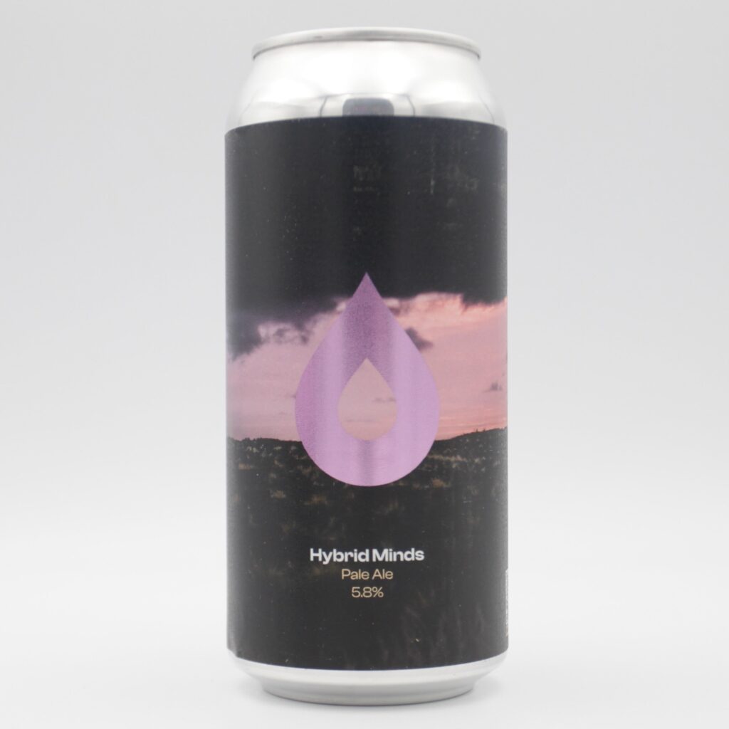 Hybrid Minds - 5.8%