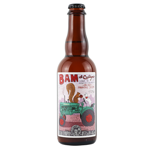 Jolly Pumpkin Bam di Castagna