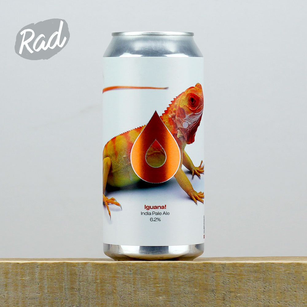 Iguana!