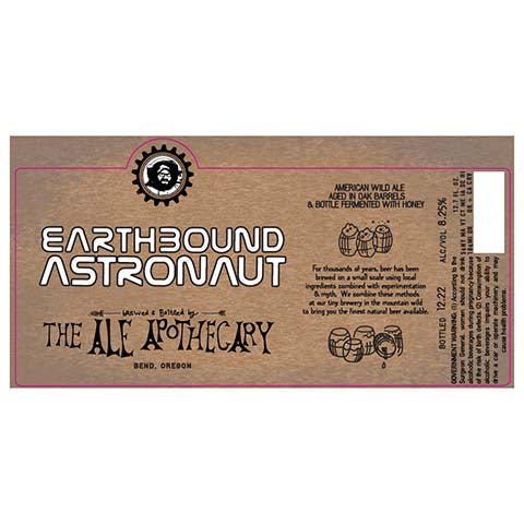 Earthbound Astronaut