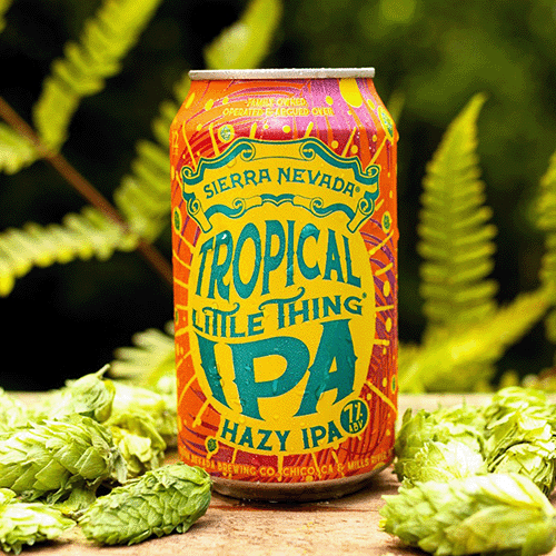 Sierra Nevada Tropical Little Thing / トロピカル リトル シング