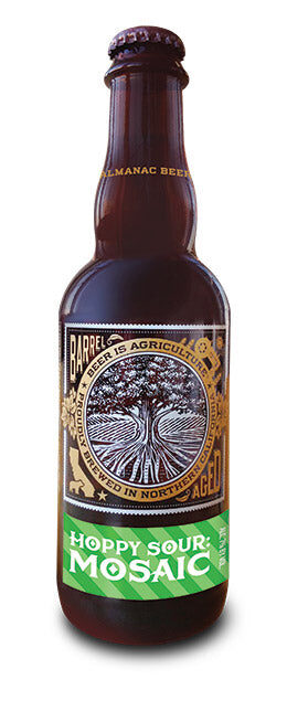 Hoppy Sour Mosaic