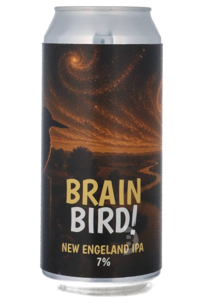 De Kwint – Brainbird