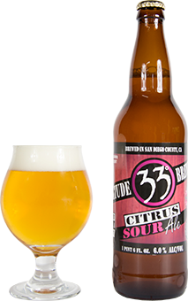 Citrus Sour Ale 22oz
