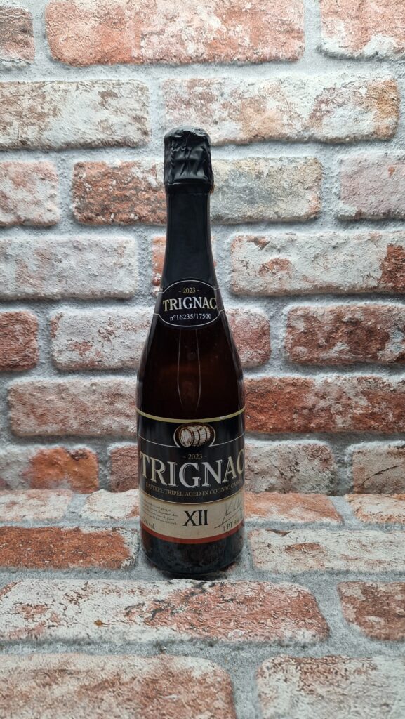 Kasteel Trignac XII