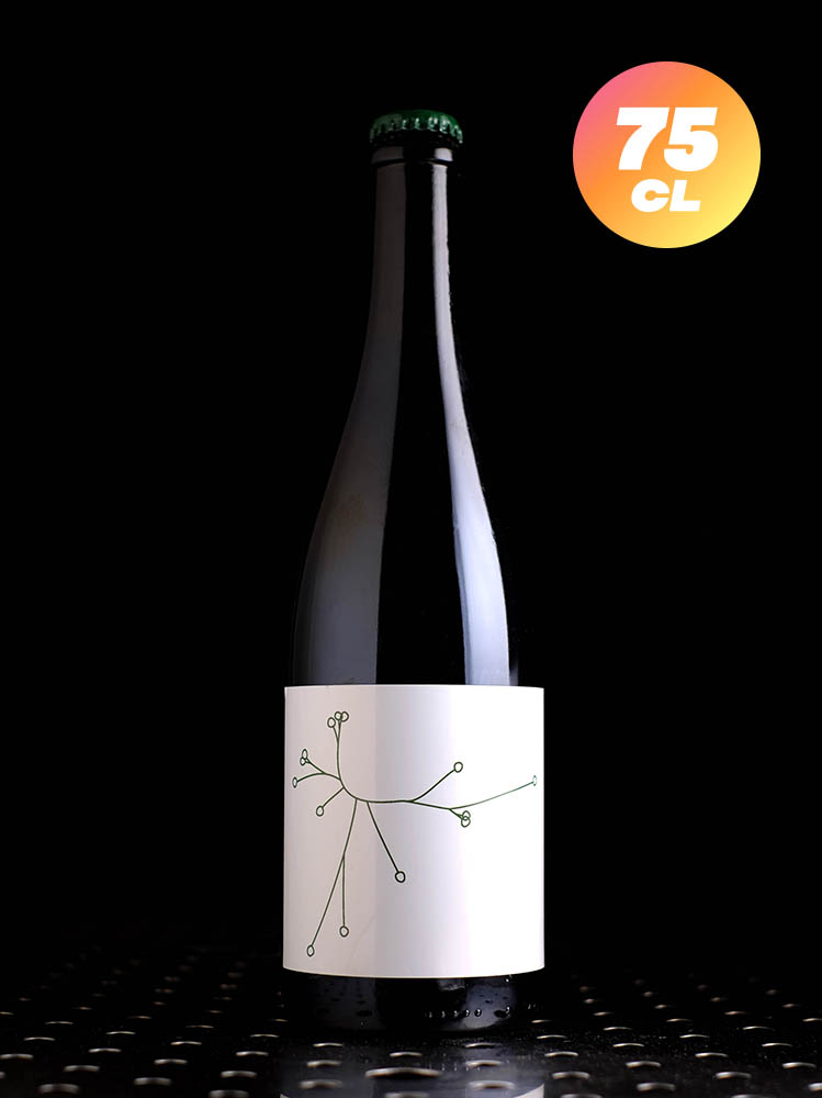 SPO | Farmhouse Bourgeons De Sapin 2023 | 6,6%