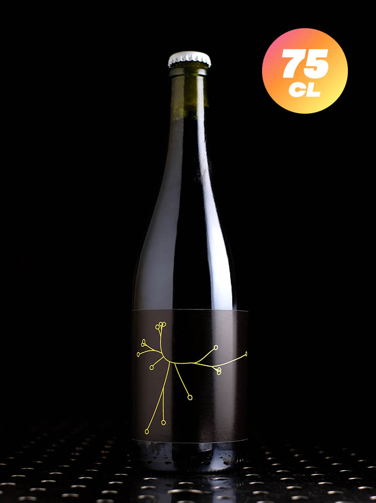 SPO | Kveik Brett’s V2 | Wild | 7,1%