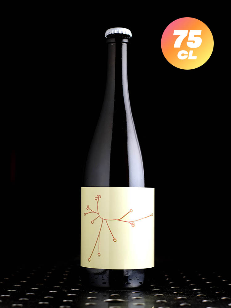 SPO | Rhubarbe & Sureau 2024 | Wild | 5,3%