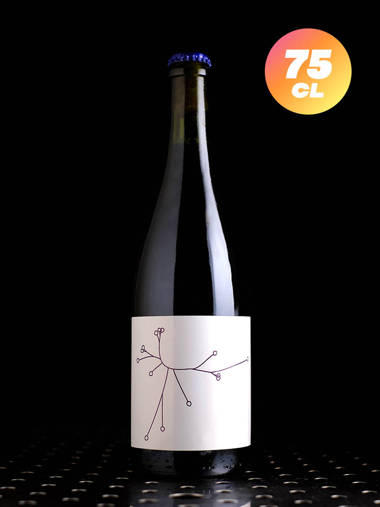 SPO | Sureau 2023 | Saison Fleurs de Sureau | 5,2%