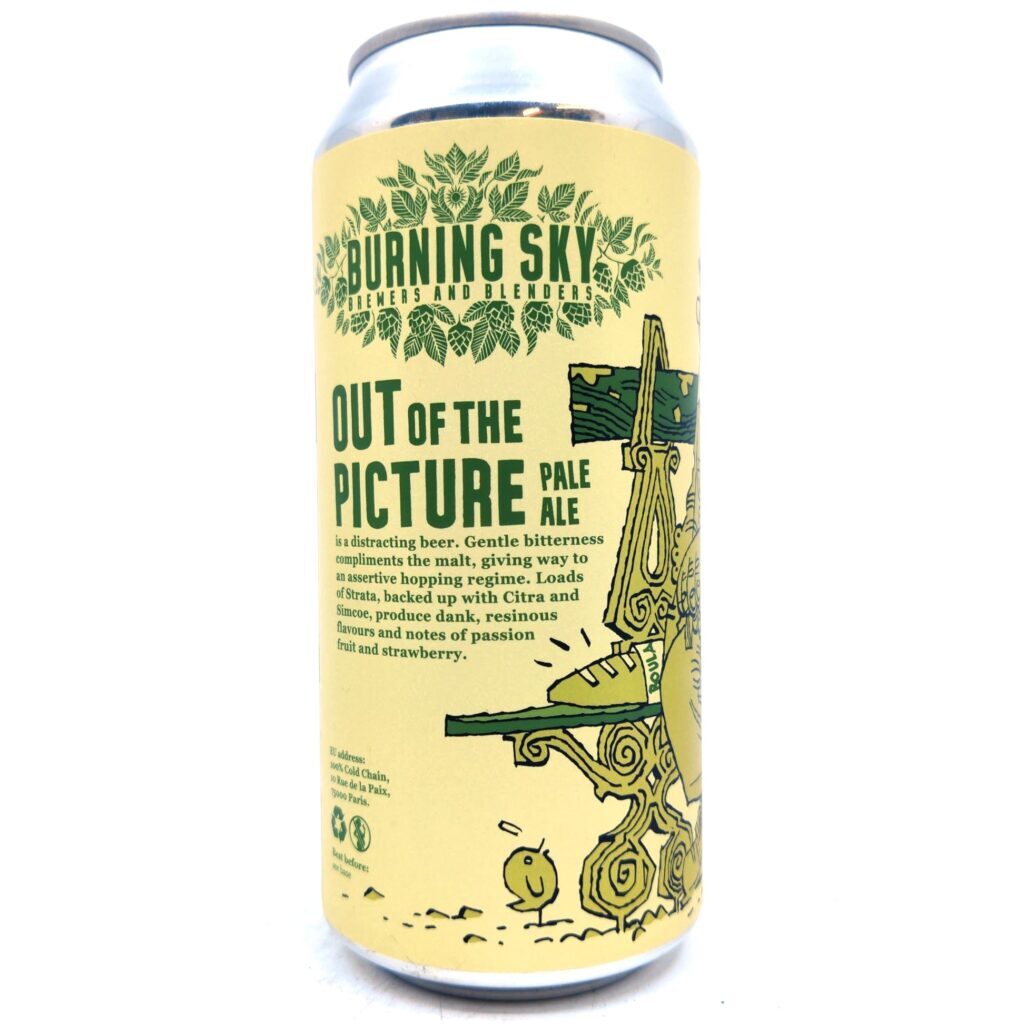 Out Of The Picture Pale Ale 5.4%
