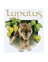 Lupulus - Blonde - Belgian Tripel / Triple