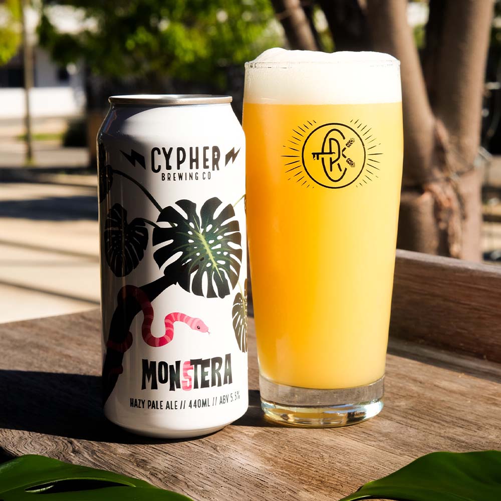 Monstera Hazy