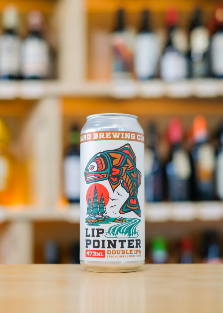 LIP POINTER