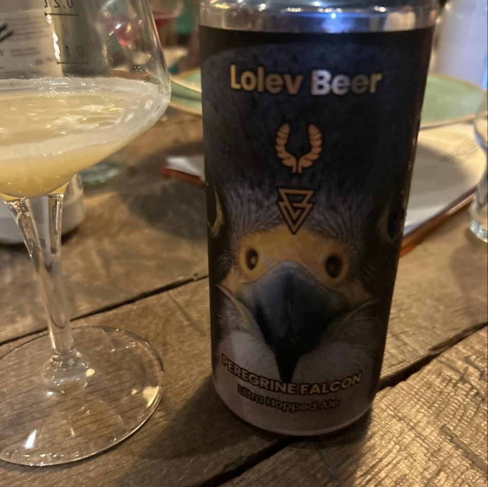 Lolev Beer × Azvex Brewing Company – Peregrine Falcon