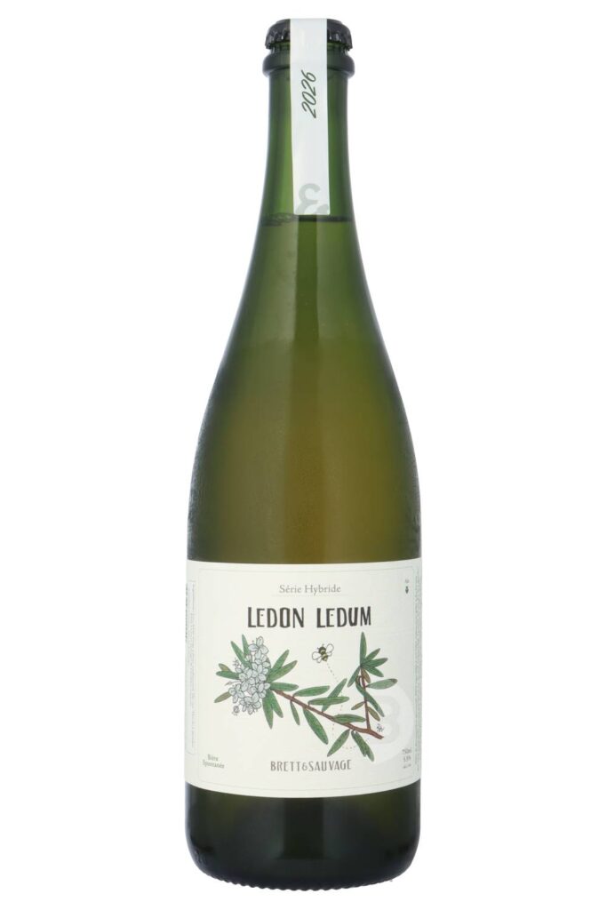 Ledon Ledum 2026